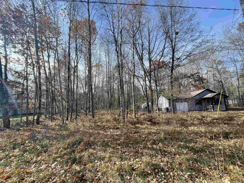 6667 Shadowbrook Drive Freeman Township MI 48632
