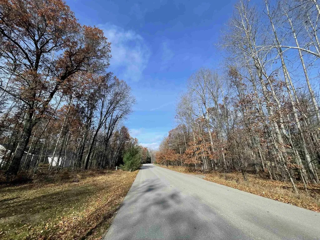 6667 Shadowbrook Drive Freeman Township MI 48632