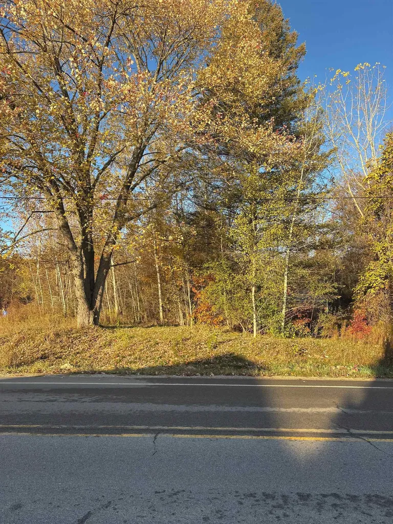 8698 Old State Avenue Surrey Township MI 48622