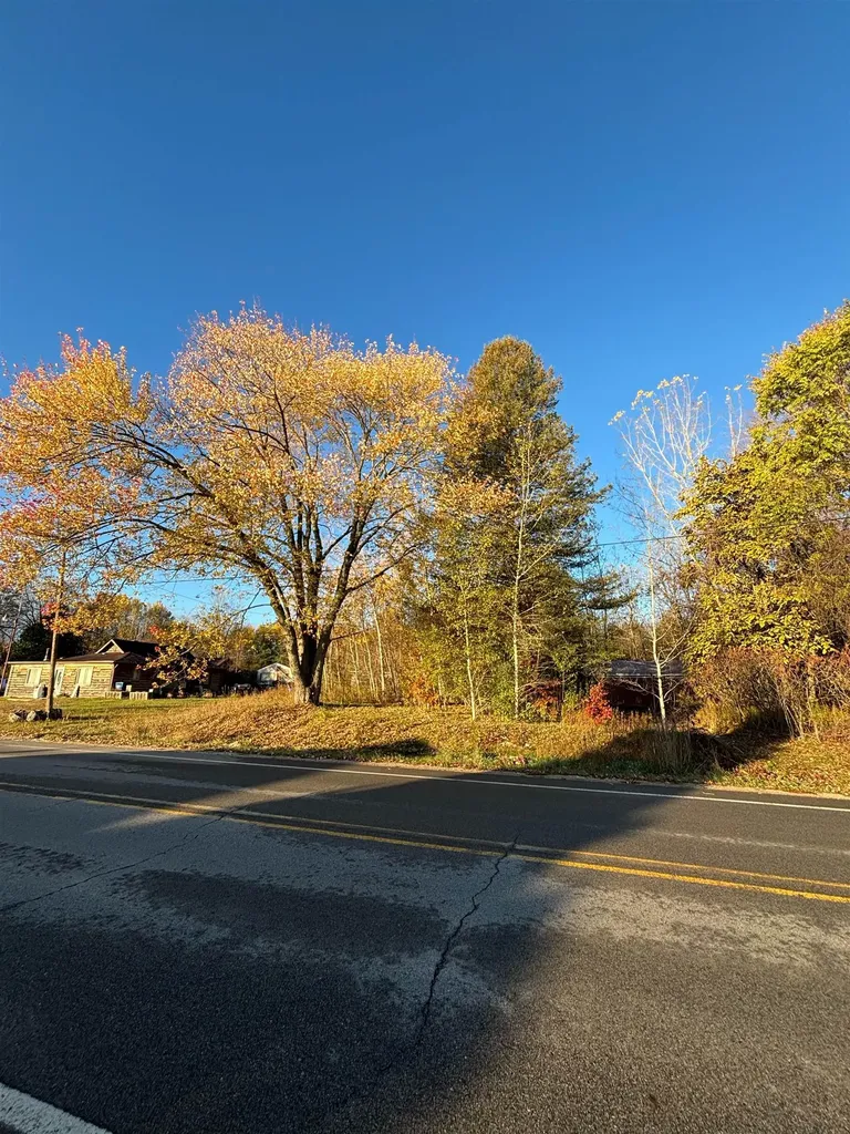 8698 Old State Avenue Surrey Township MI 48622