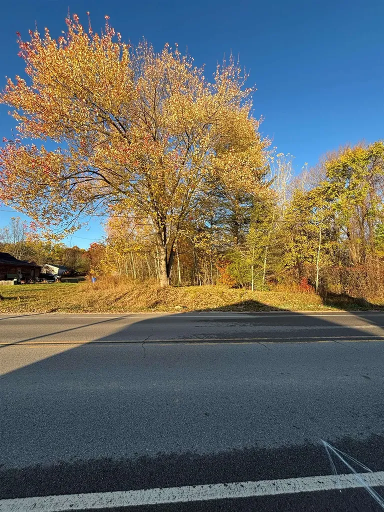 8698 Old State Avenue Surrey Township MI 48622