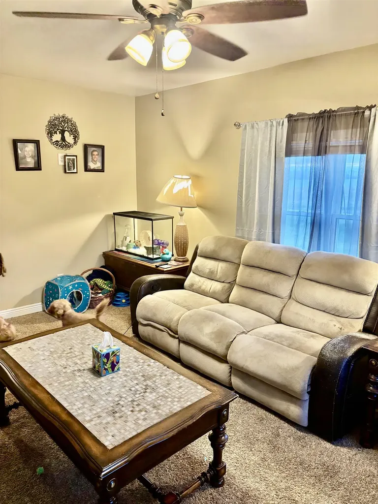 917 E River Mt. Pleasant City MI 48858