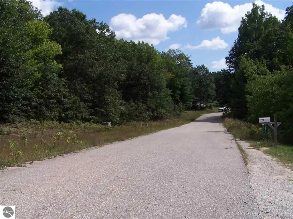 Tbd N Circle E Surrey Township MI 48622