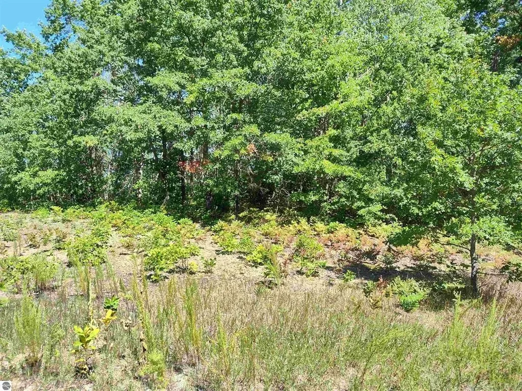 Tbd N Circle E Surrey Township MI 48622