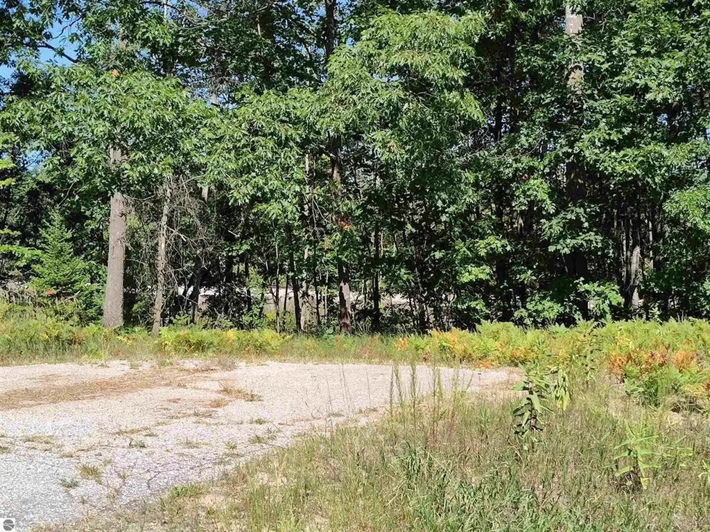 Tbd N Circle E Surrey Township MI 48622