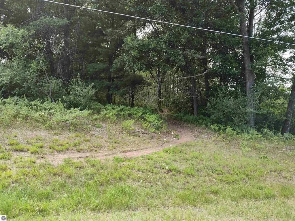 Tbd N Circle E Surrey Township MI 48622