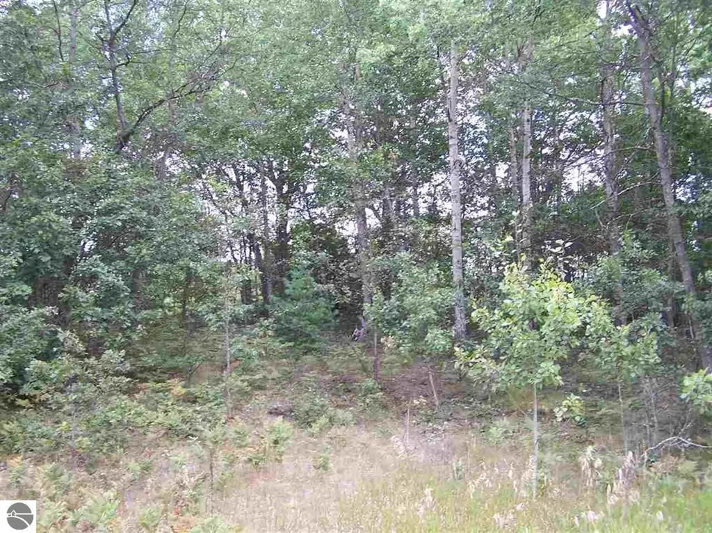 Tbd N Circle E Surrey Township MI 48622