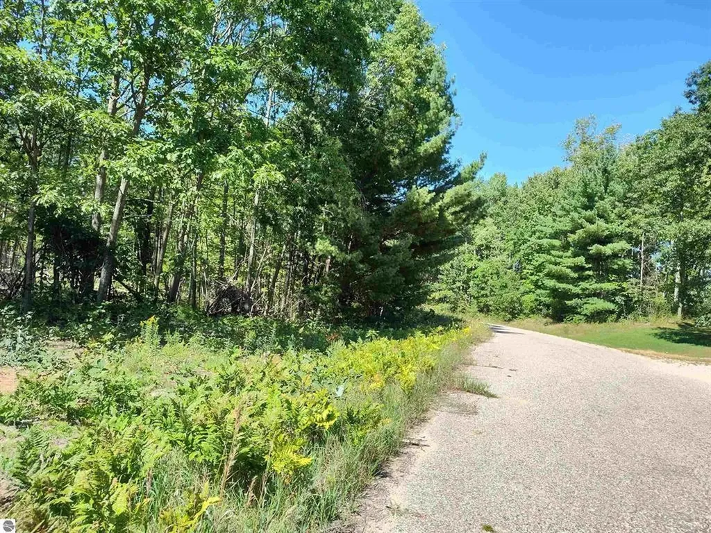 Tbd N Circle E Surrey Township MI 48622