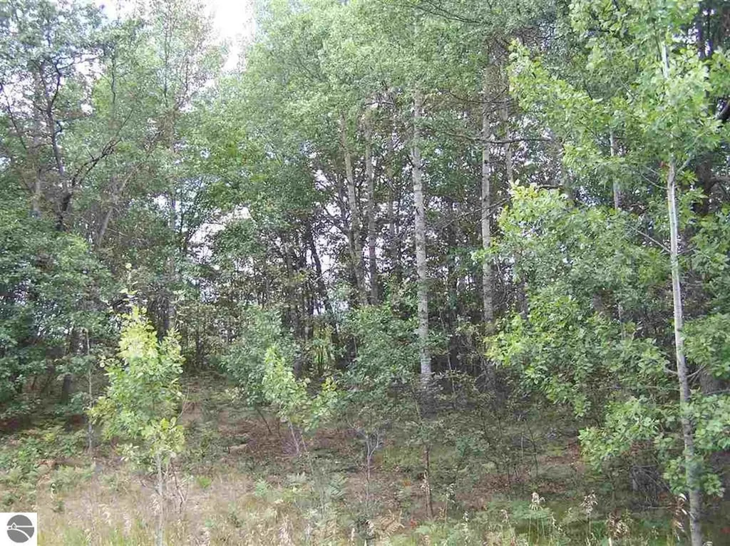 Tbd N Circle E Surrey Township MI 48622