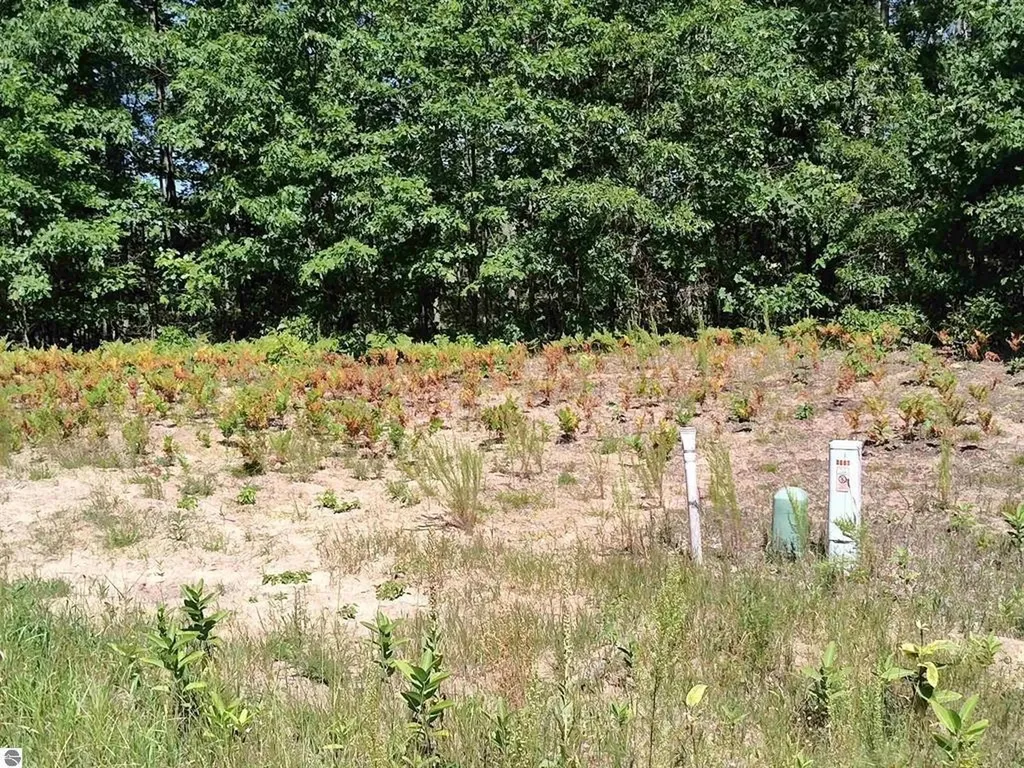 Tbd N Circle E Surrey Township MI 48622