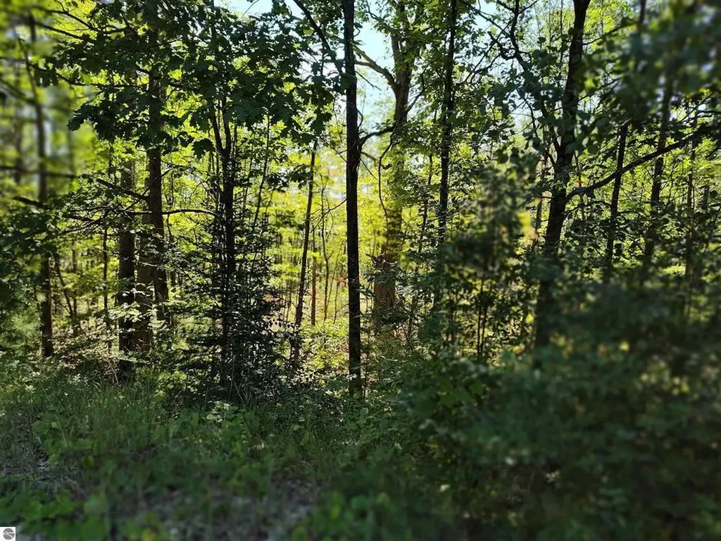 Tbd N Circle E Surrey Township MI 48622