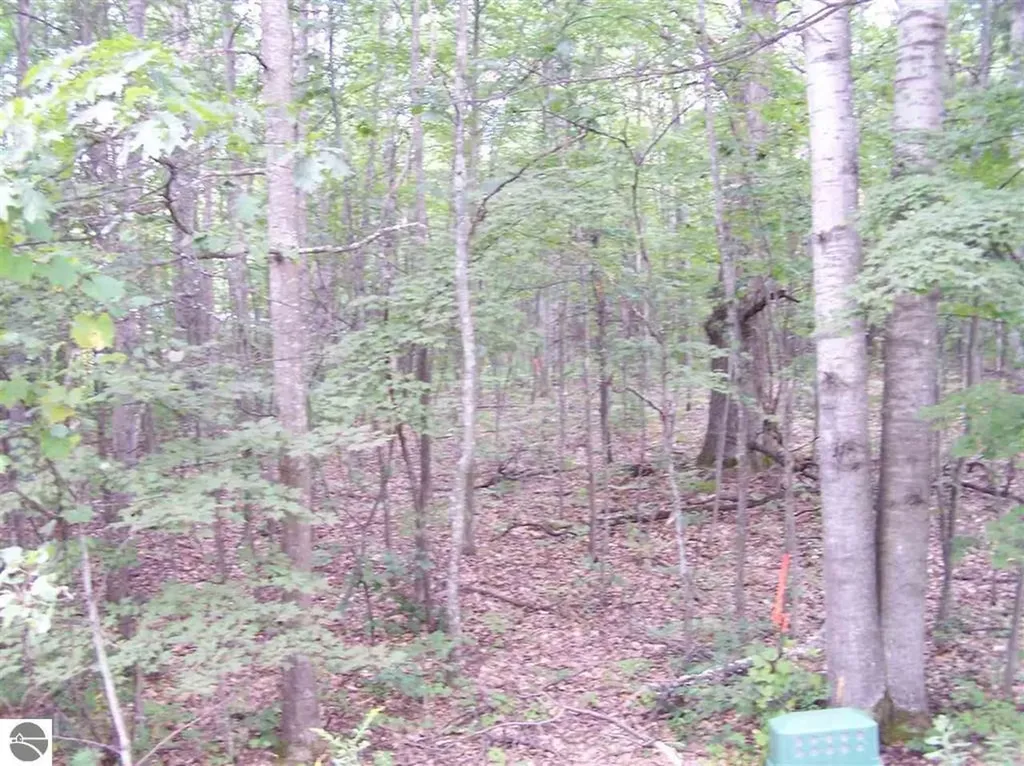 Tbd N Circle E Surrey Township MI 48622