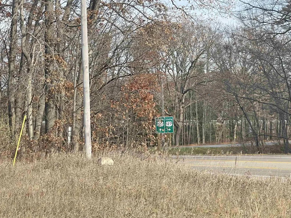 Tbd N Clare Avenue Hayes Township MI 48625