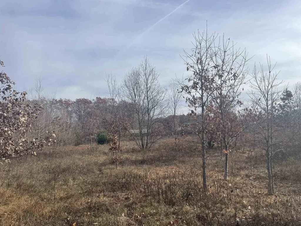 Tbd N Clare Avenue Hayes Township MI 48625