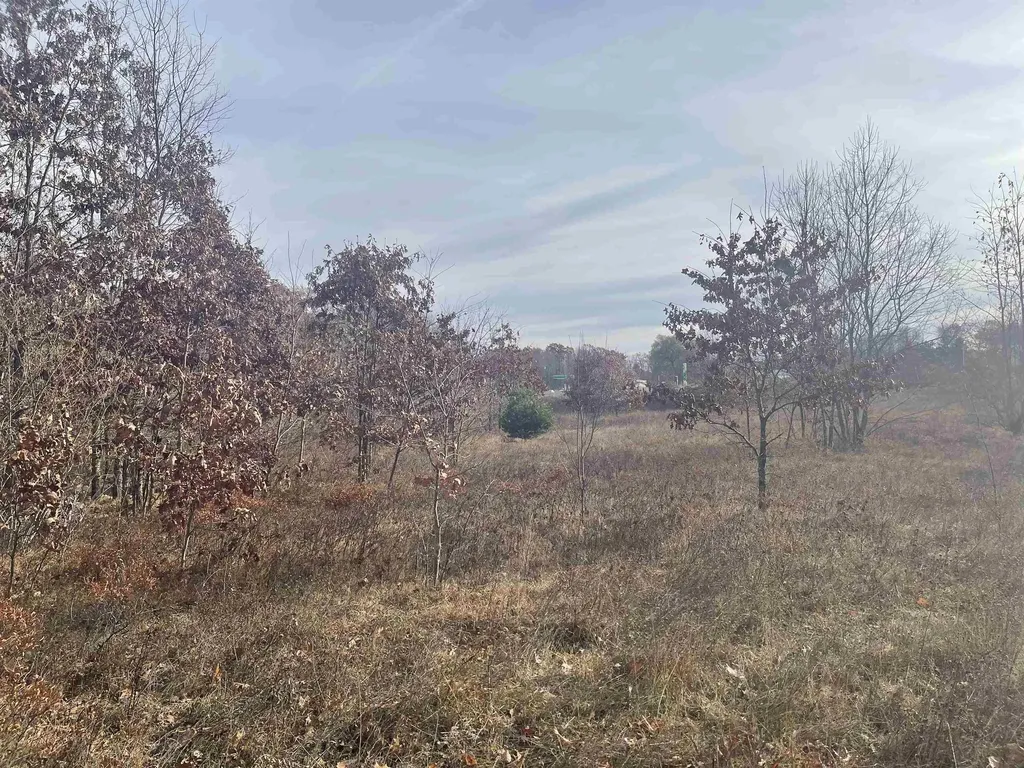 Tbd N Clare Avenue Hayes Township MI 48625
