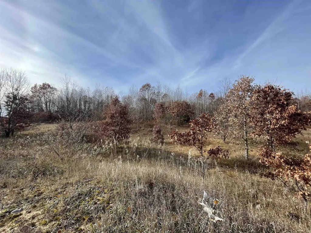 Tbd N Clare Avenue Hayes Township MI 48625