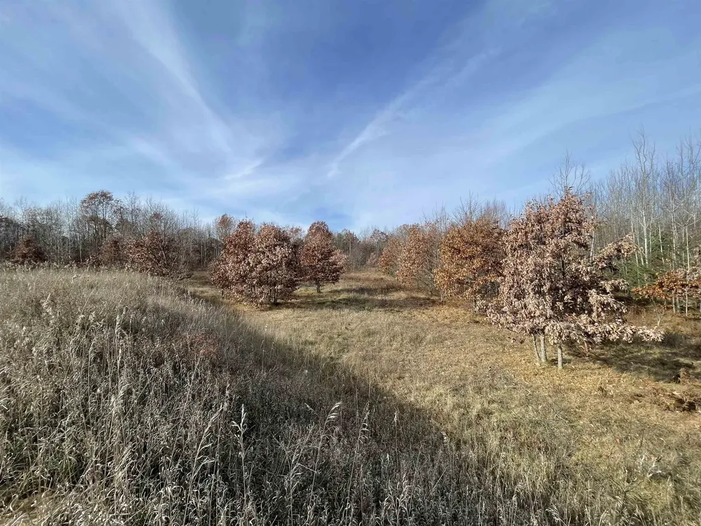 Tbd N Clare Avenue Hayes Township MI 48625