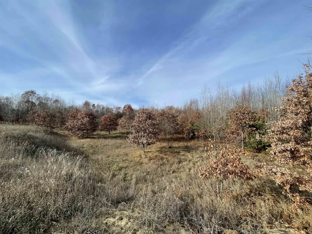 Tbd N Clare Avenue Hayes Township MI 48625