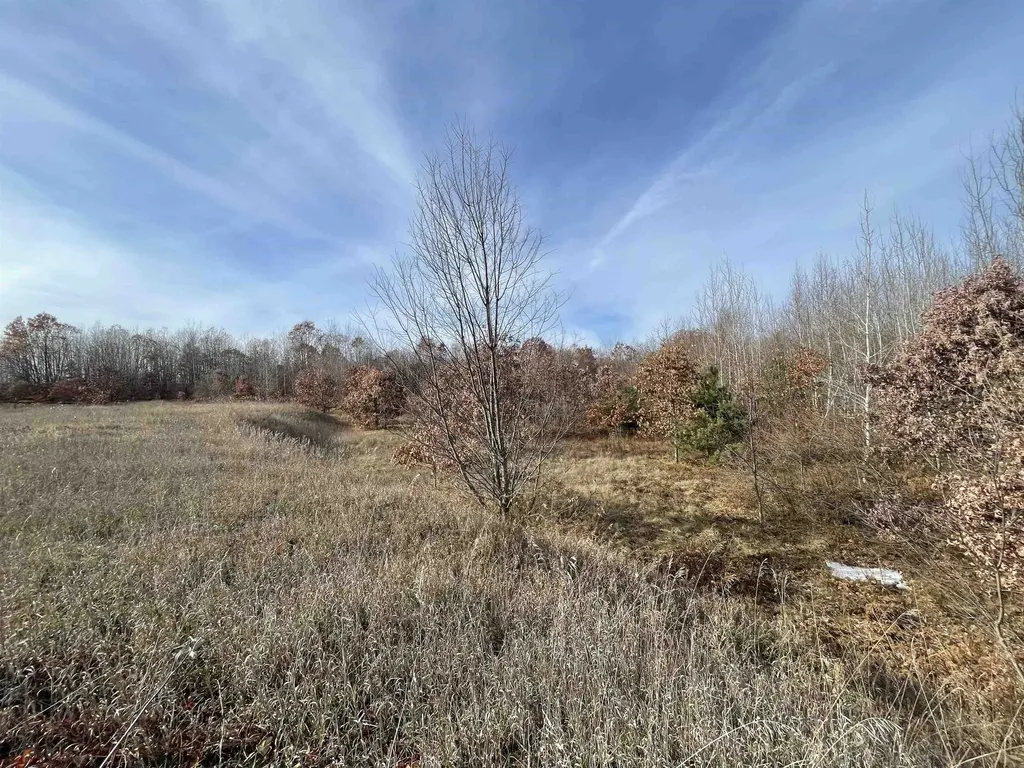 Tbd N Clare Avenue Hayes Township MI 48625
