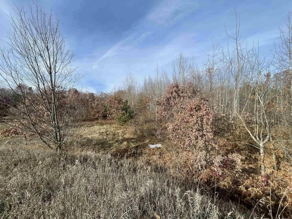 Tbd N Clare Avenue Hayes Township MI 48625