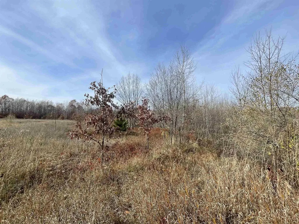 Tbd N Clare Avenue Hayes Township MI 48625