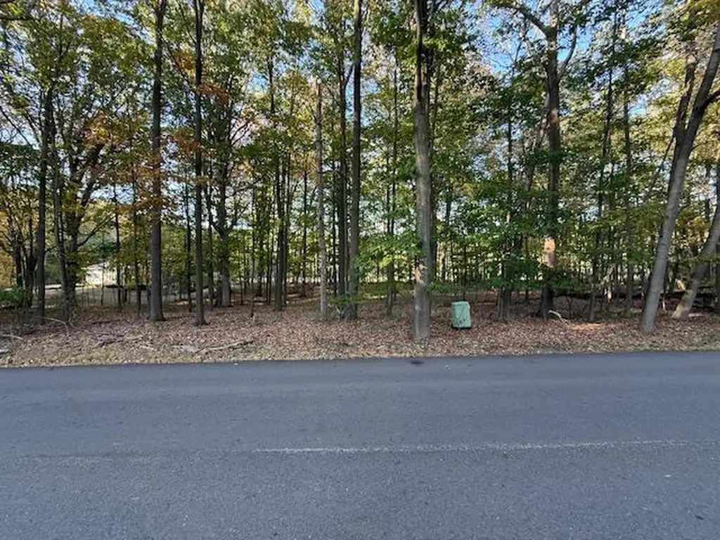 Tbd Hiawatha Drive Deerfield Township MI 48858