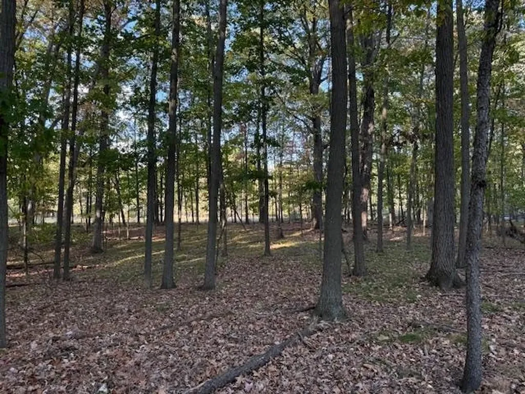 Tbd Hiawatha Drive Deerfield Township MI 48858