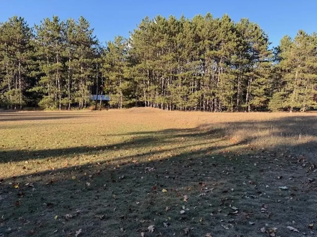 Tbd Hiawatha Drive Deerfield Township MI 48858