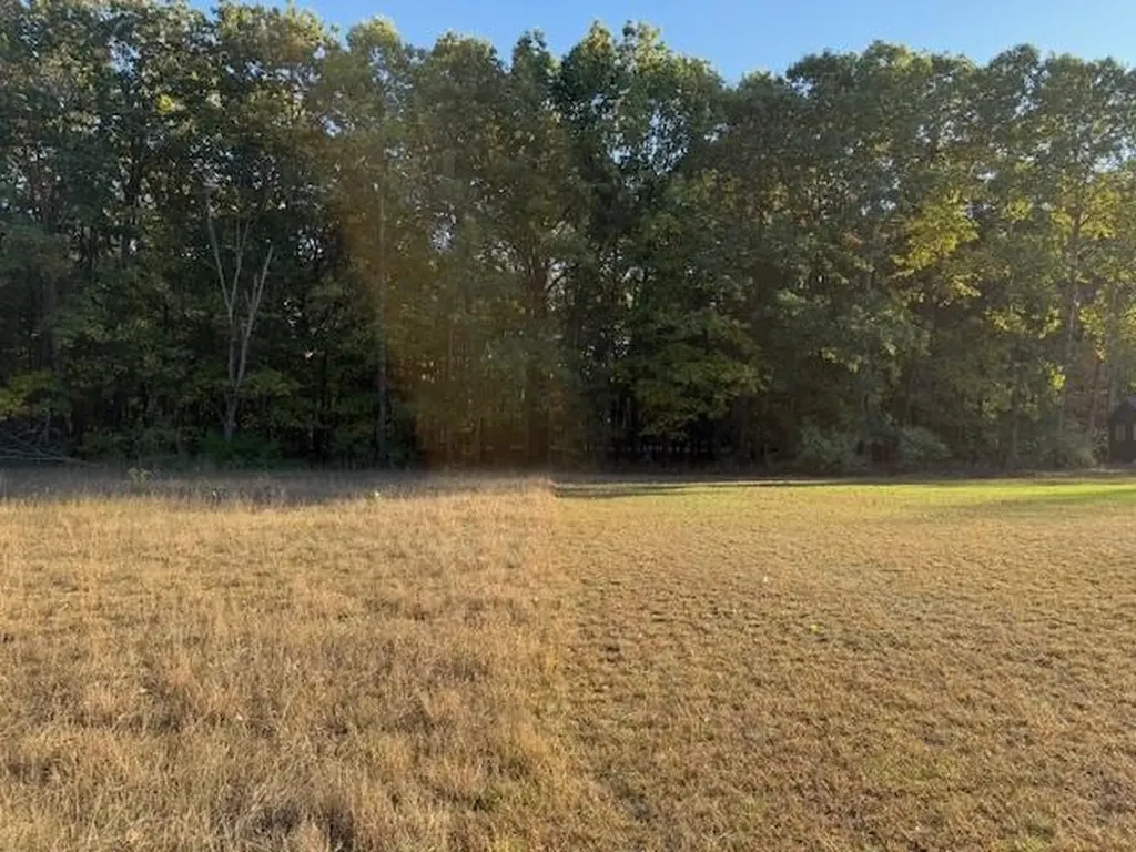 Tbd Hiawatha Drive Deerfield Township MI 48858