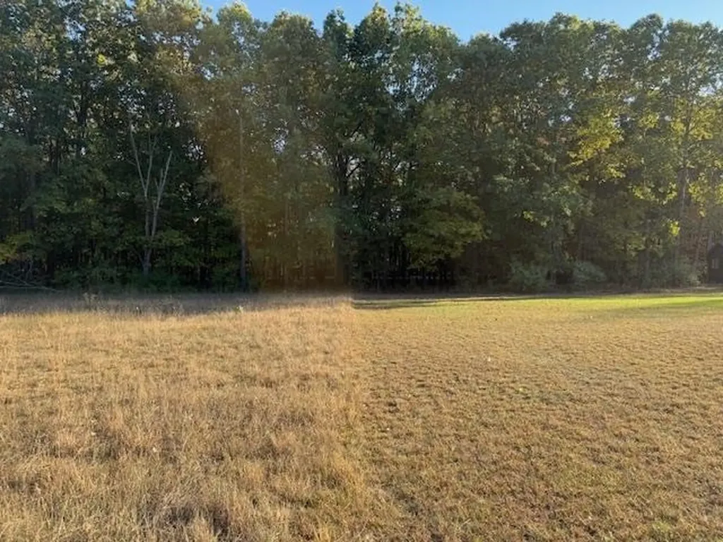 Tbd Hiawatha Drive Deerfield Township MI 48858