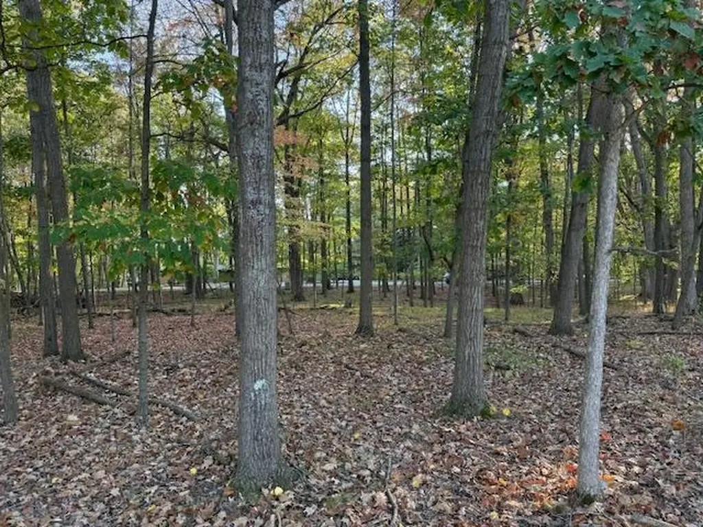 Tbd Hiawatha Drive Deerfield Township MI 48858