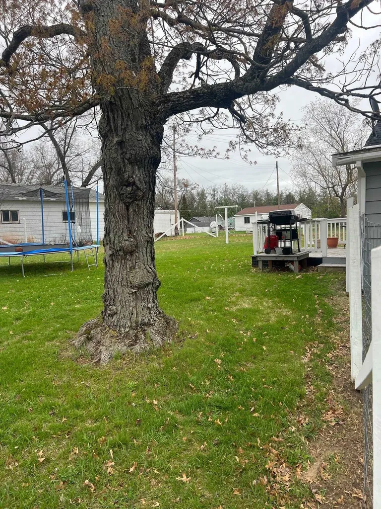 169 Ashley Redding Township MI 48625