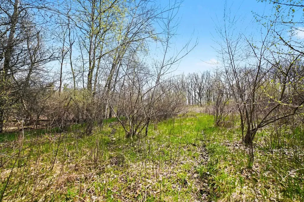 Tbd N Crystal Richland Township MI 48891
