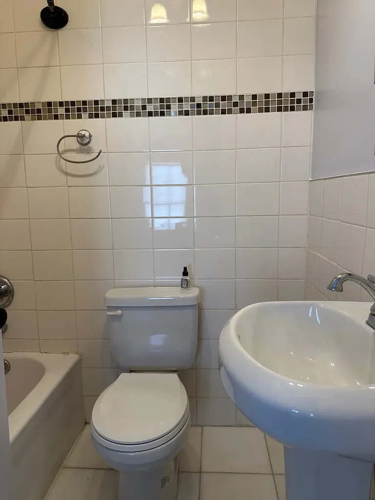 323 W Wright Avenue Shepherd Village MI 48883
