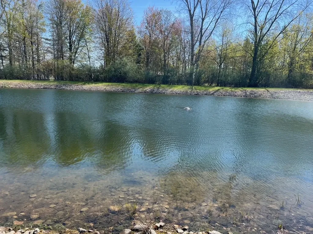 21403 Swan Creek Road Lakefield Township MI 48637