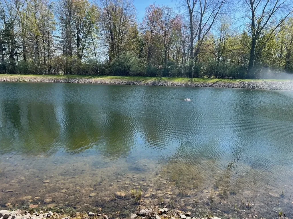 21403 Swan Creek Road Lakefield Township MI 48637