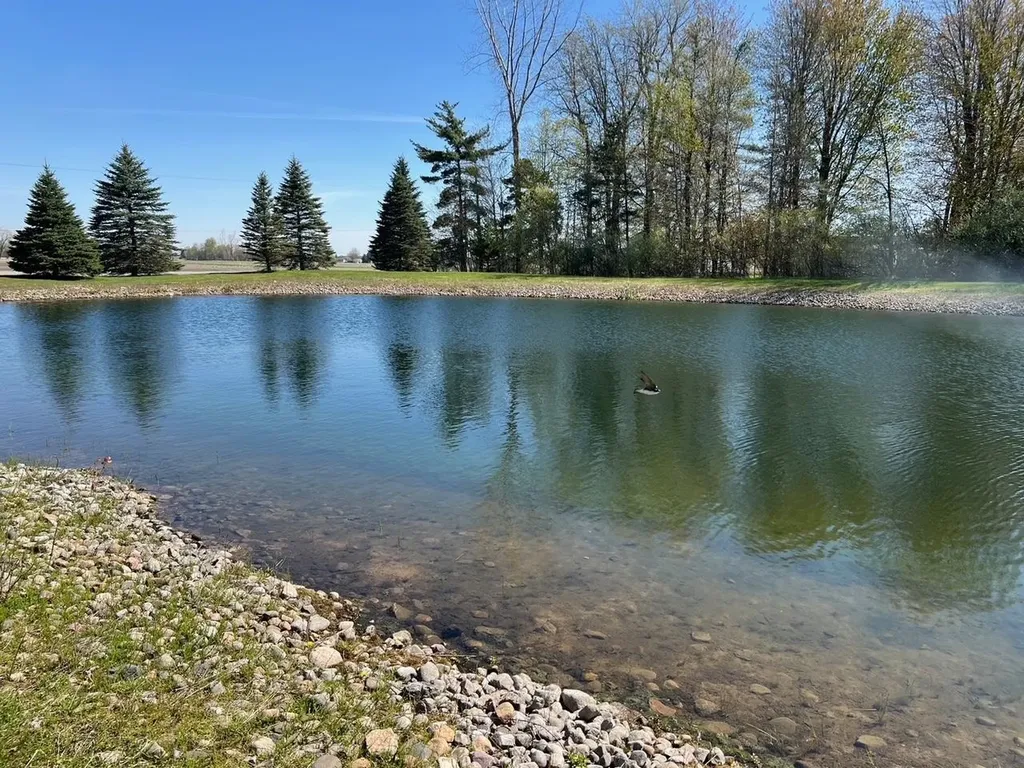 21403 Swan Creek Road Lakefield Township MI 48637