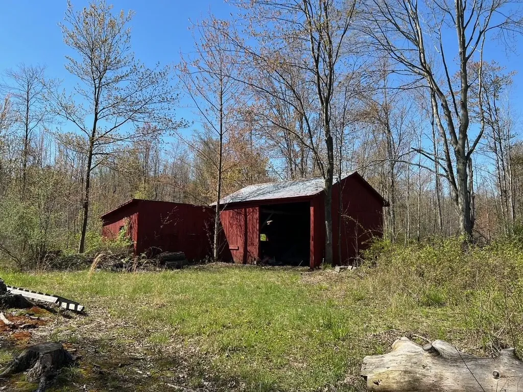 21403 Swan Creek Road Lakefield Township MI 48637