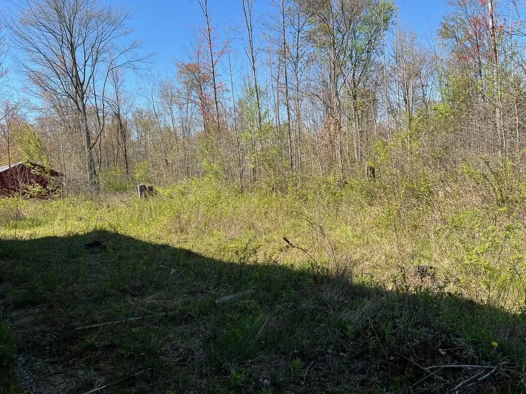 21403 Swan Creek Road Lakefield Township MI 48637