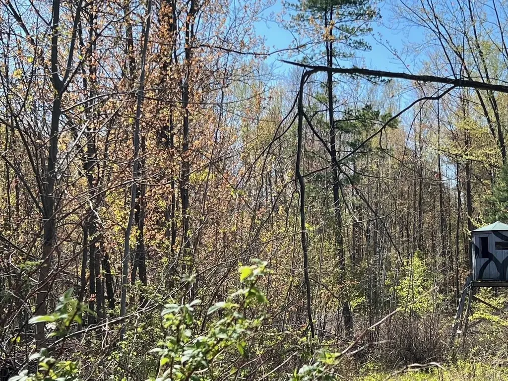 21403 Swan Creek Road Lakefield Township MI 48637