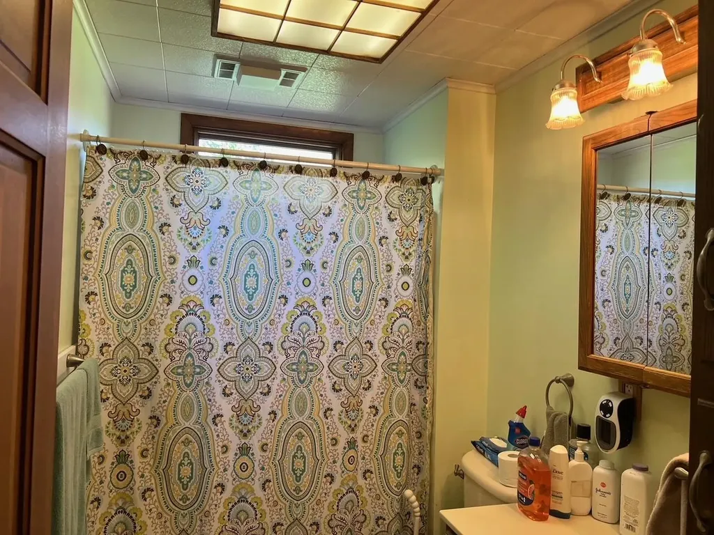 21403 Swan Creek Road Lakefield Township MI 48637