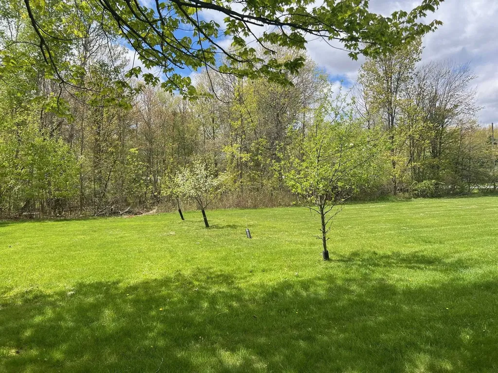 21403 Swan Creek Road Lakefield Township MI 48637