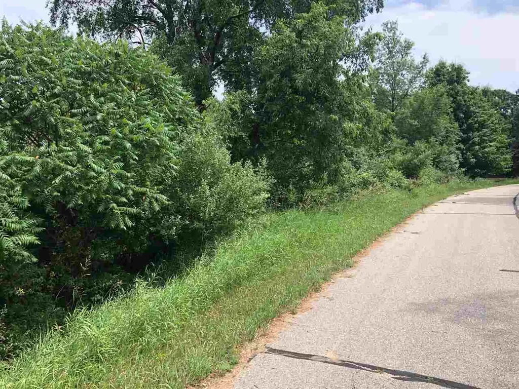 1006/1008 Laredo Drive Sherman Township MI 48893