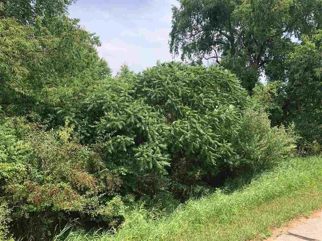 1006/1008 Laredo Drive Sherman Township MI 48893