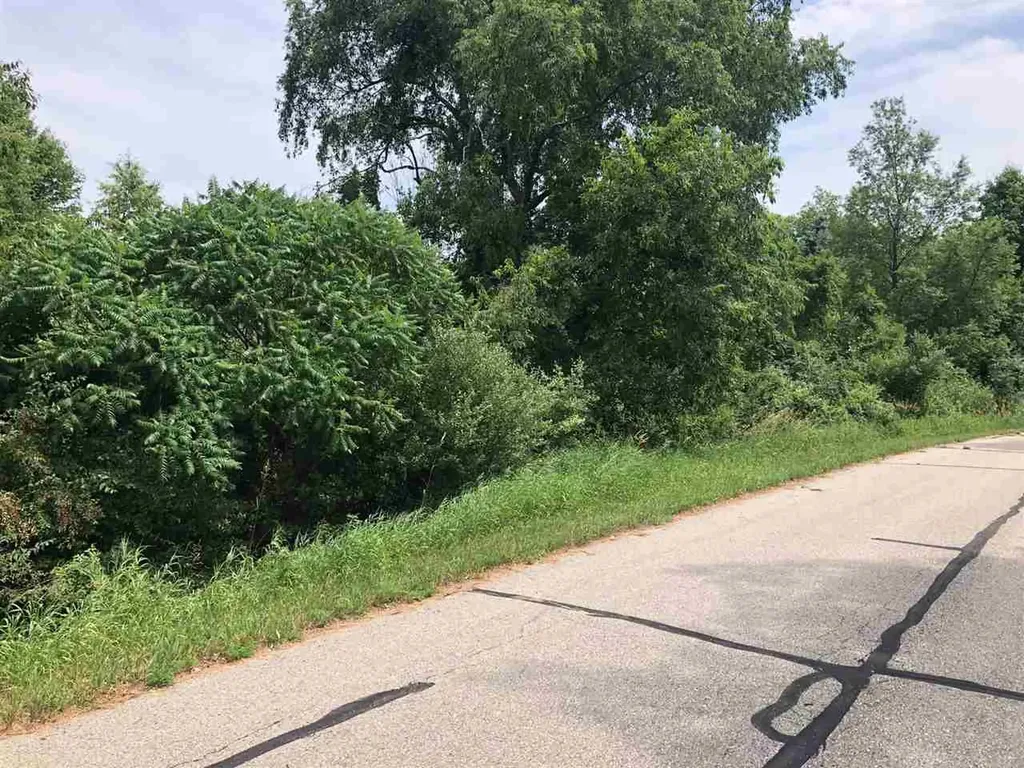 1006/1008 Laredo Drive Sherman Township MI 48893