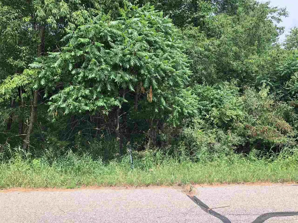 1006/1008 Laredo Drive Sherman Township MI 48893