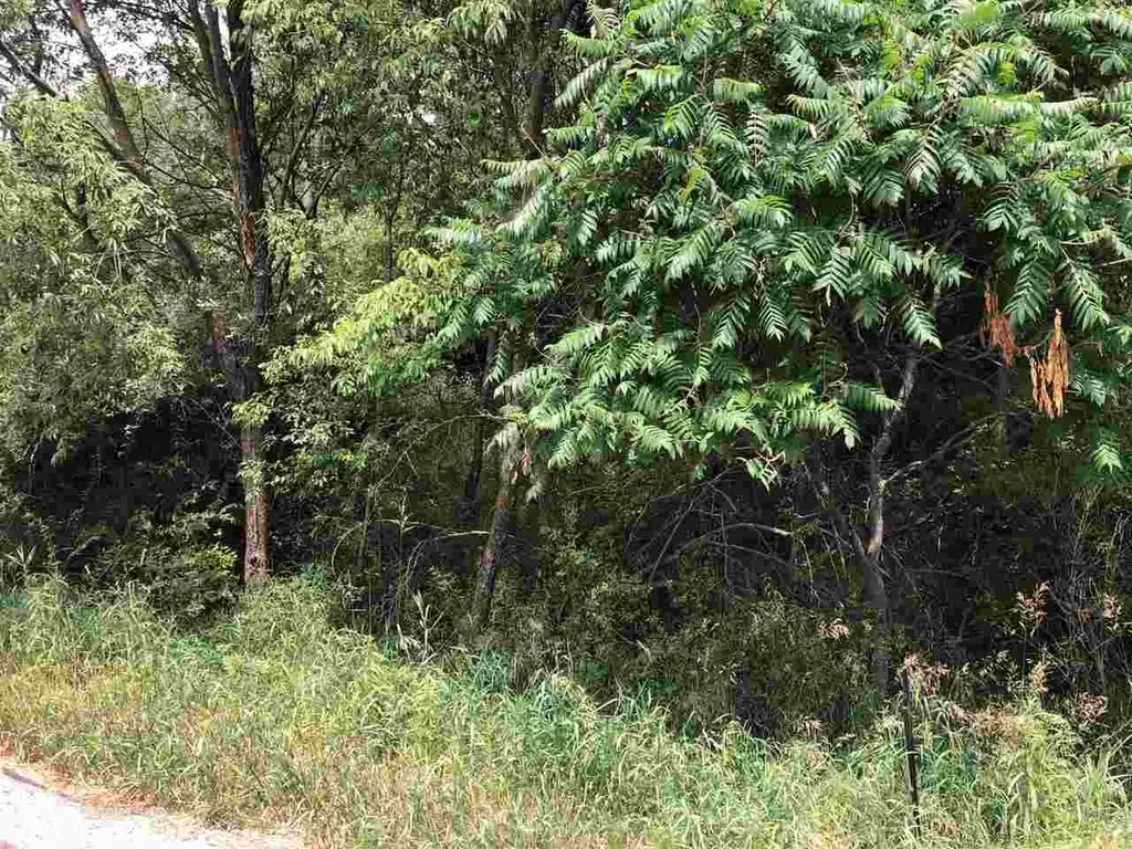 1006/1008 Laredo Drive Sherman Township MI 48893