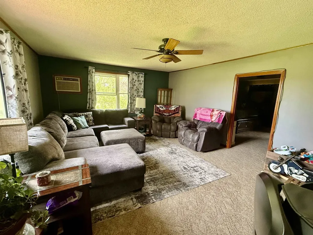 742 E Van Buren Road Emerson Township MI 48801