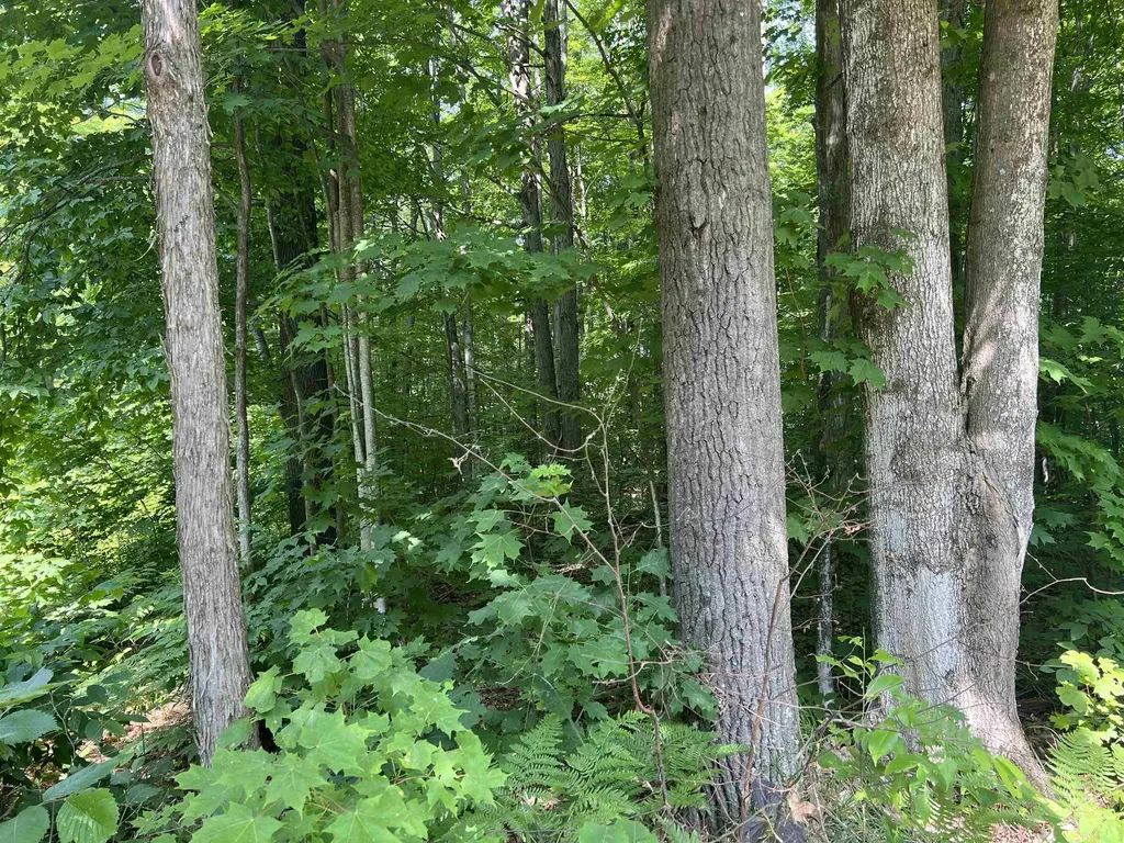 309 Oak Hill Road Garfield Township MI 49633