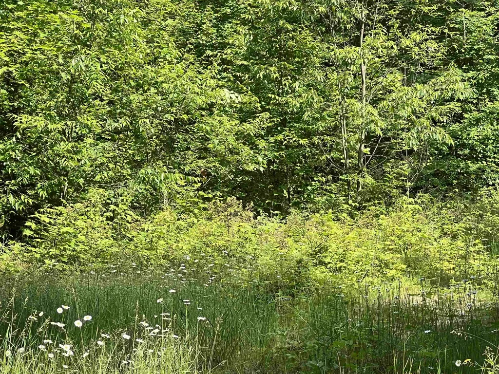 309 Oak Hill Road Garfield Township MI 49633